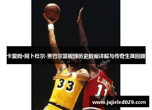 卡里姆·阿卜杜尔-贾巴尔篮板球历史数据详解与传奇生涯回顾