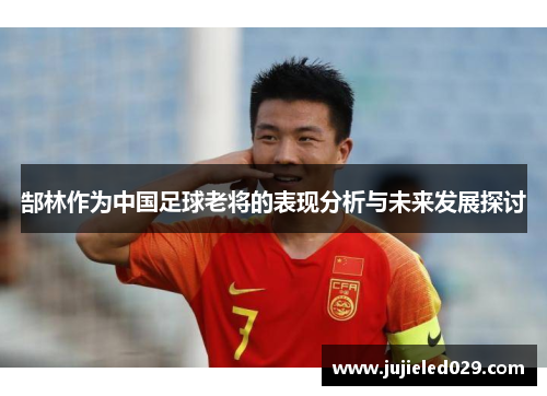 郜林作为中国足球老将的表现分析与未来发展探讨