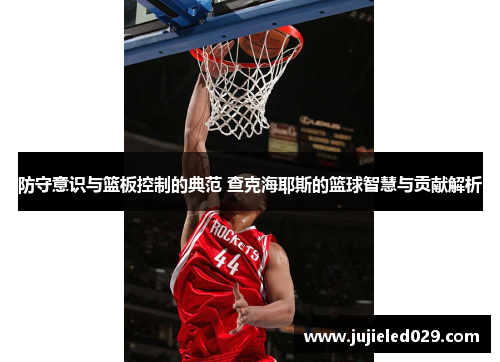 防守意识与篮板控制的典范 查克海耶斯的篮球智慧与贡献解析